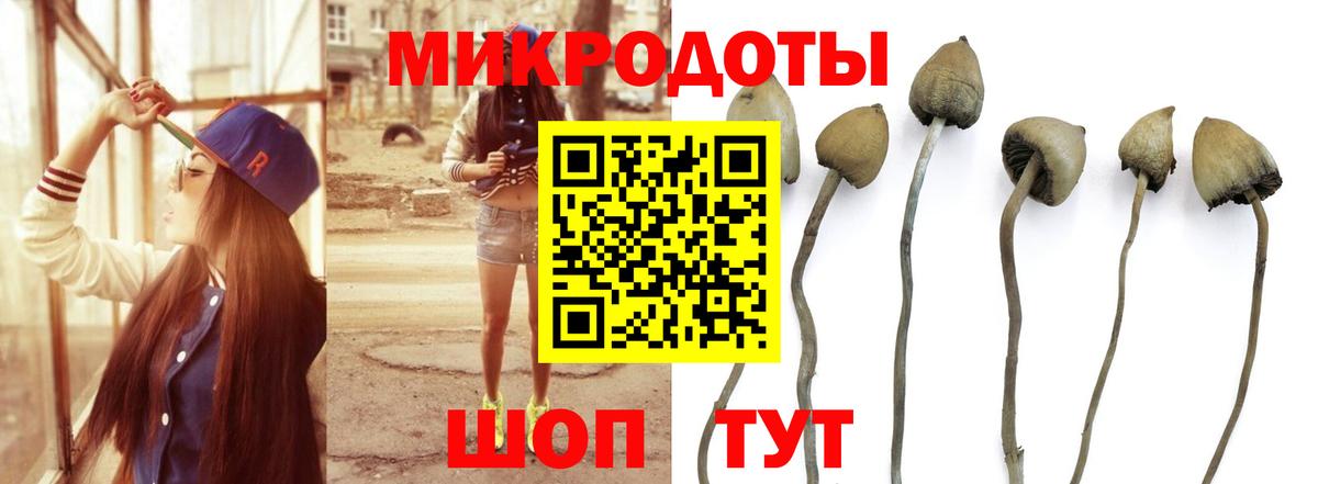Галлюциногенные грибы мицелий Канаш